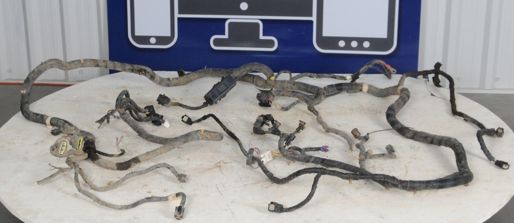 Harness, Main (inc. 2-10)