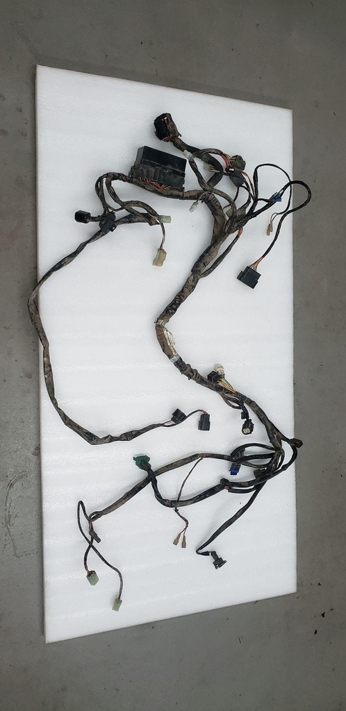 HARNESS/DIA,MAIN (013