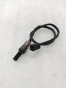 Sensor, Oxygen