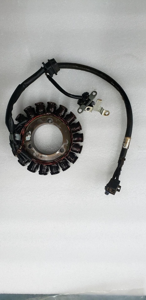 STATOR,IGNITION,EFI (H 20%