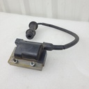 coil/cap,ign-assy (012 h1/h2) (inc. 15)