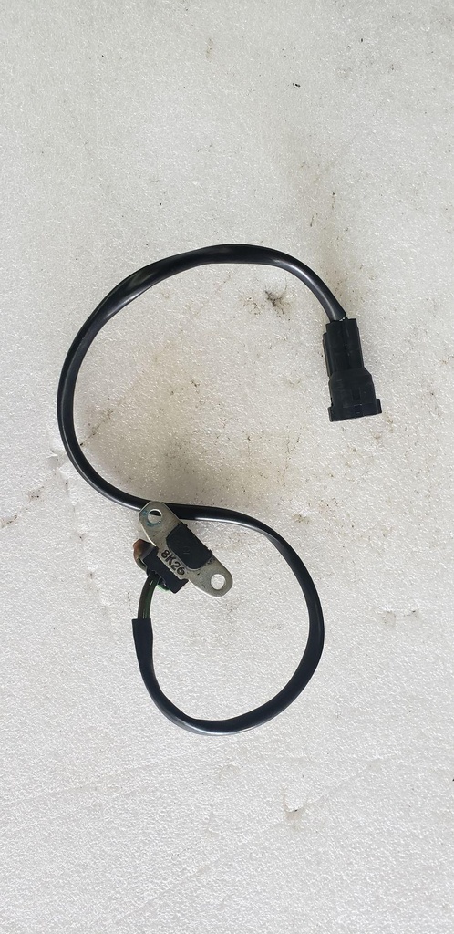 Sensor, Ignition Timing