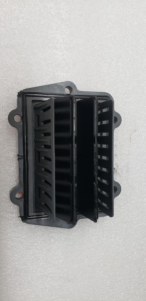 REED VALVE ASSEMBLY