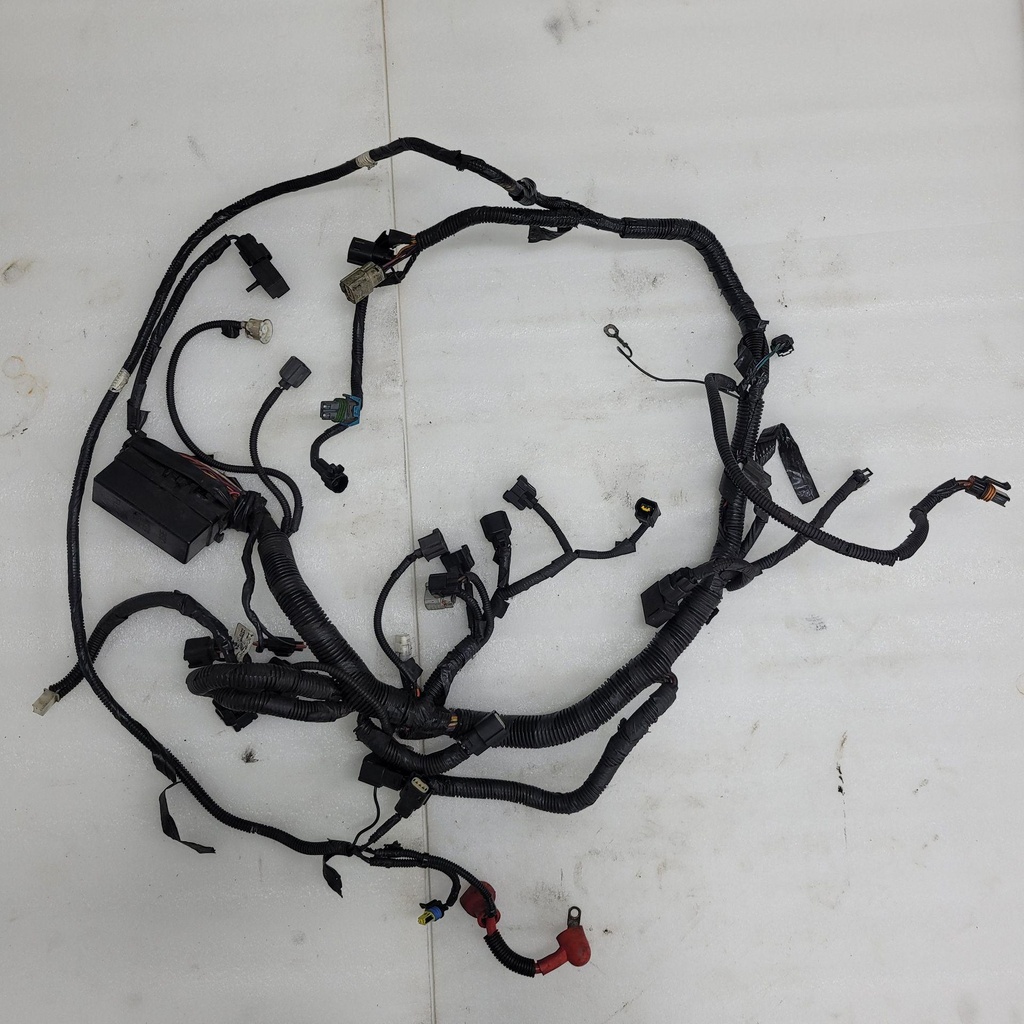 Harness, Main (inc. 11-19)