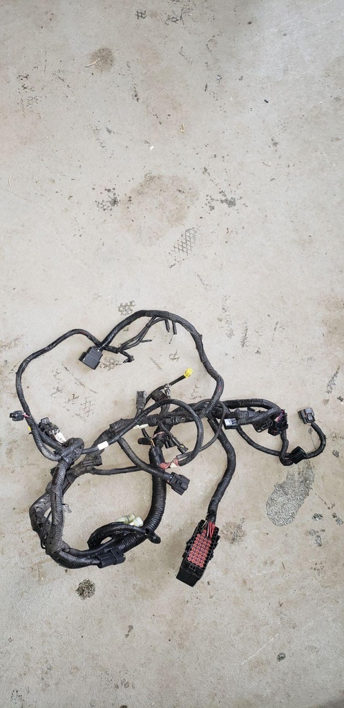 HARNESS, MAIN