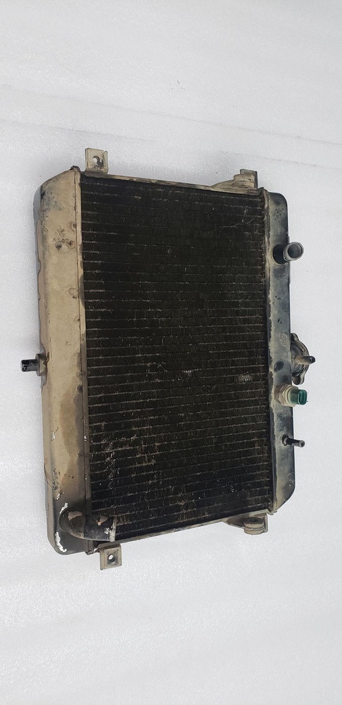 RADIATOR ASSY