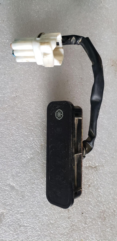Pilot Light Assy