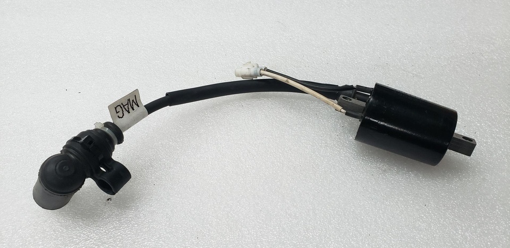 COIL-IGN,DC-SDI,W/ZIP TIE,MAG