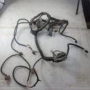 Harness, Main SP500 20 60%