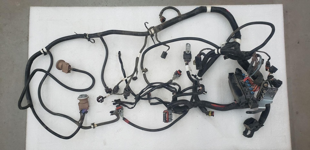 HARNESS, MAIN