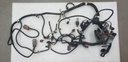 HARNESS, MAIN