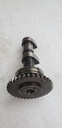 Camshaft Assy 1