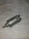 MOTOR ASSY, STARTING