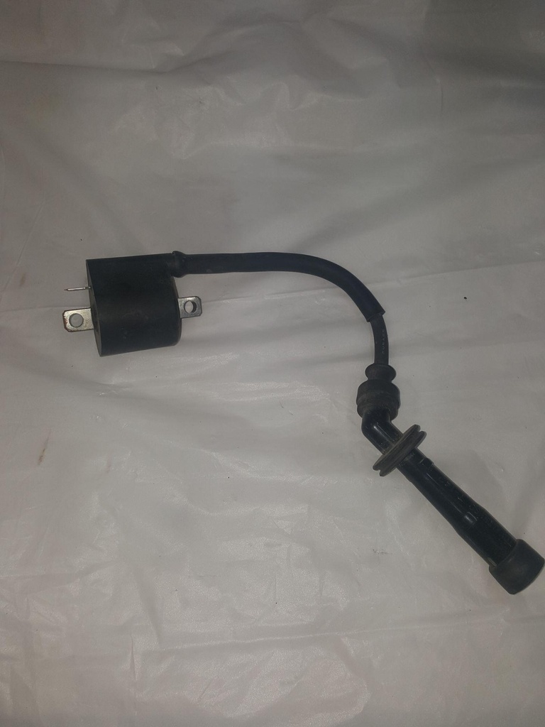COIL ASSY, IGNITION