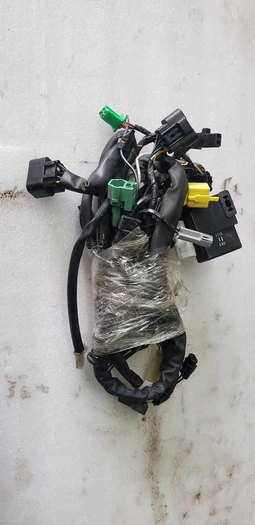 HARNESS, WIRING
