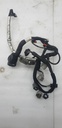 Wiring Harness Ass'y