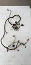 Engine Wiring Harness