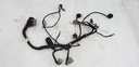 Engine Wiring Harness