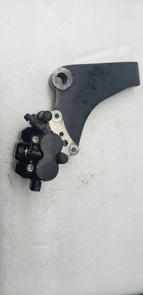 CALIPER-SUB-ASSY,RR,BL 05%