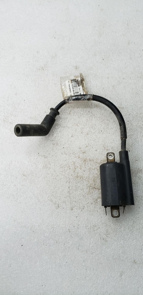 Ignition Coil Assy
