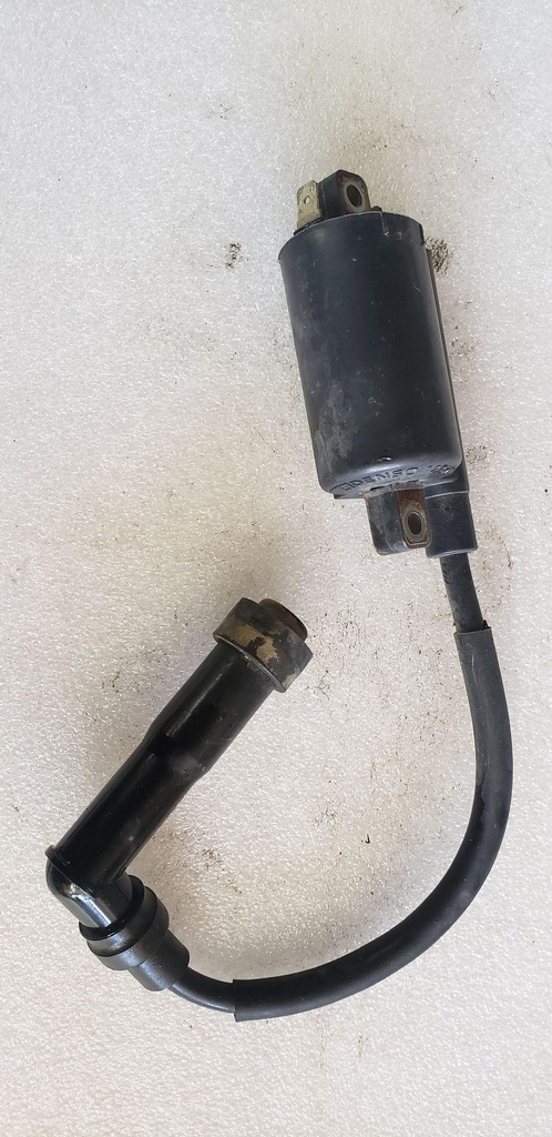 Ignition Coil Assy
