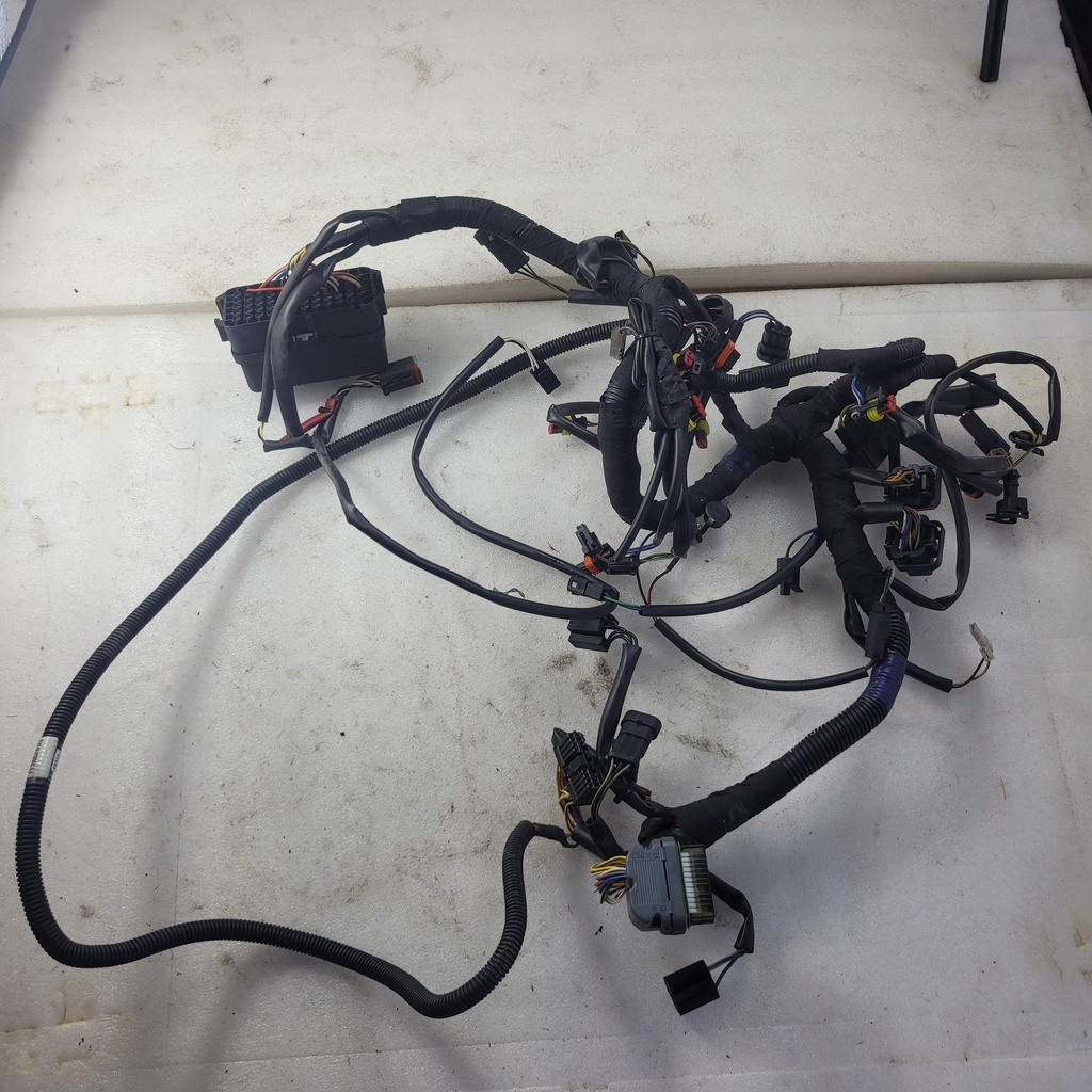 MAIN,HARNESS