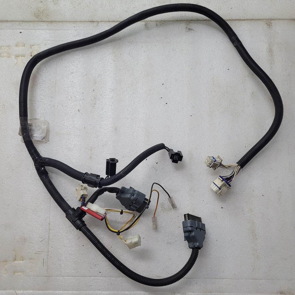 HARNESS ASSY - 605355923