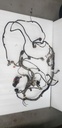Main Wiring Harness - 710006710 can am