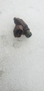 INJECTOR - YAMAHA - 8FP-13761-10-00 YAMAHA