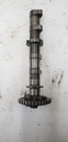 CAMSHAFT ASSY 2 - YAMAHA - 8GC-12180-02-00