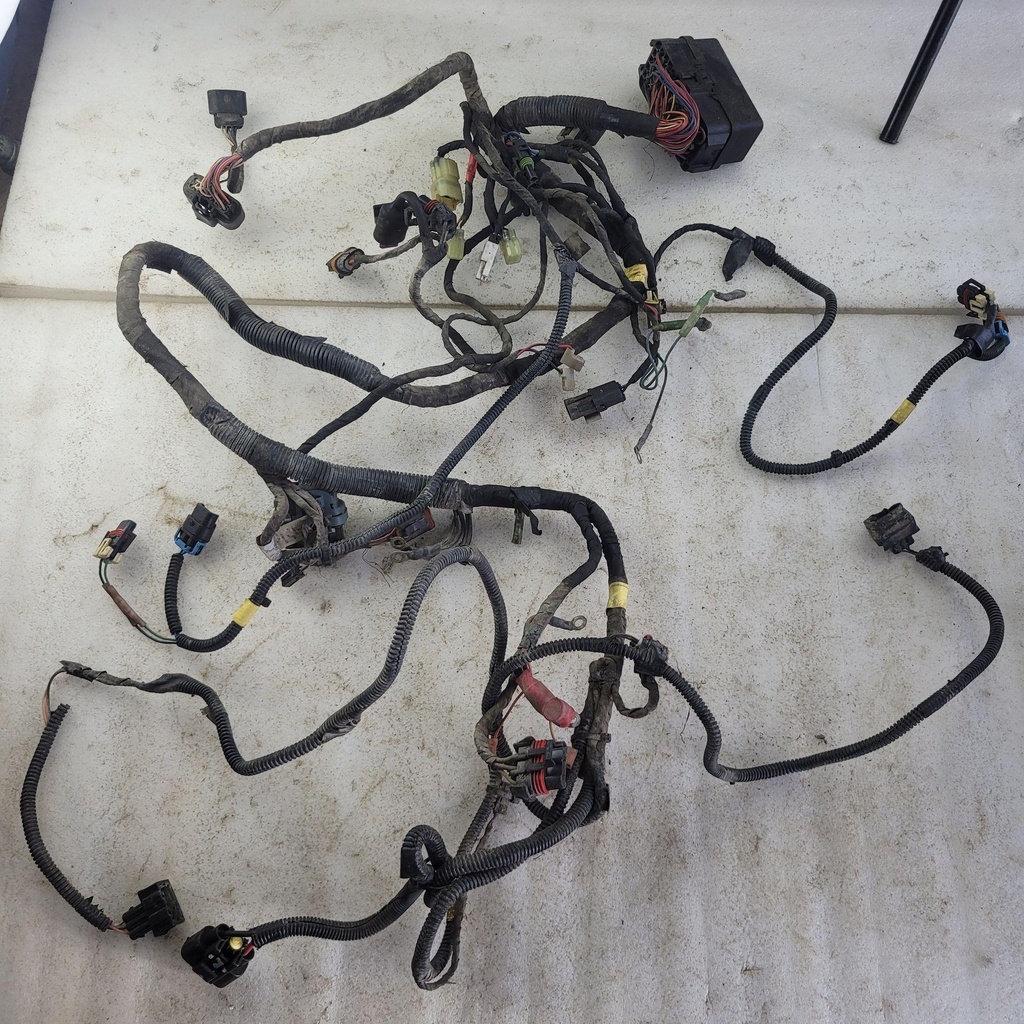 HARNESS ASS'Y - CAN-AM - 710004842