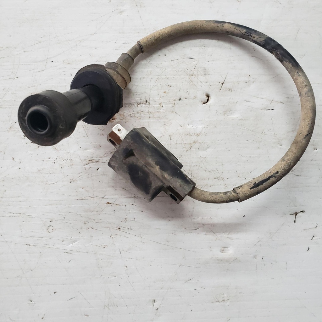 IGNITION COIL ASSY