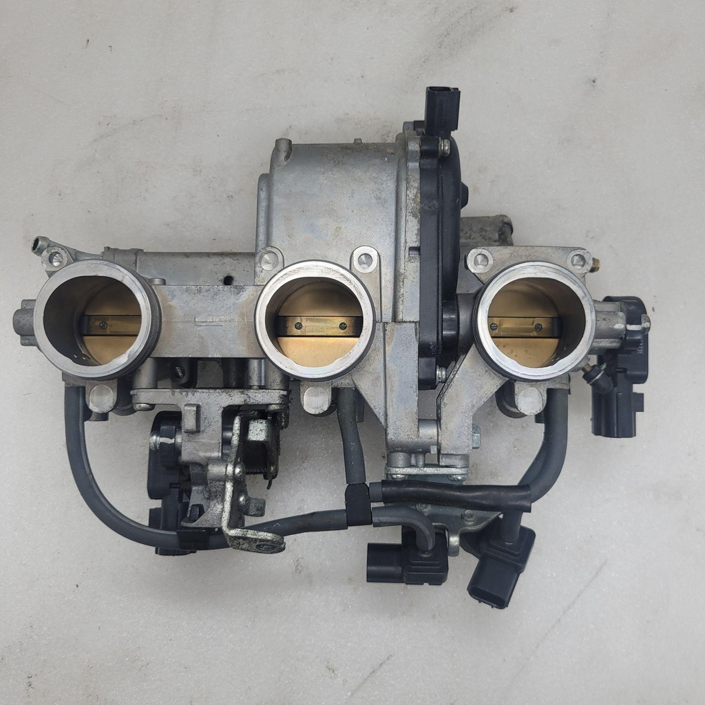 Throttle Body Assy