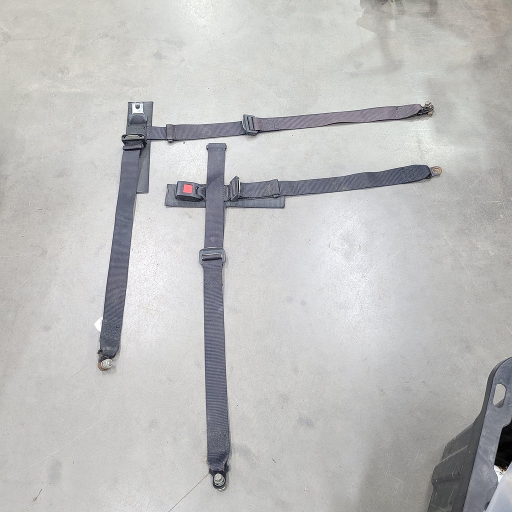 seat belt, passenger