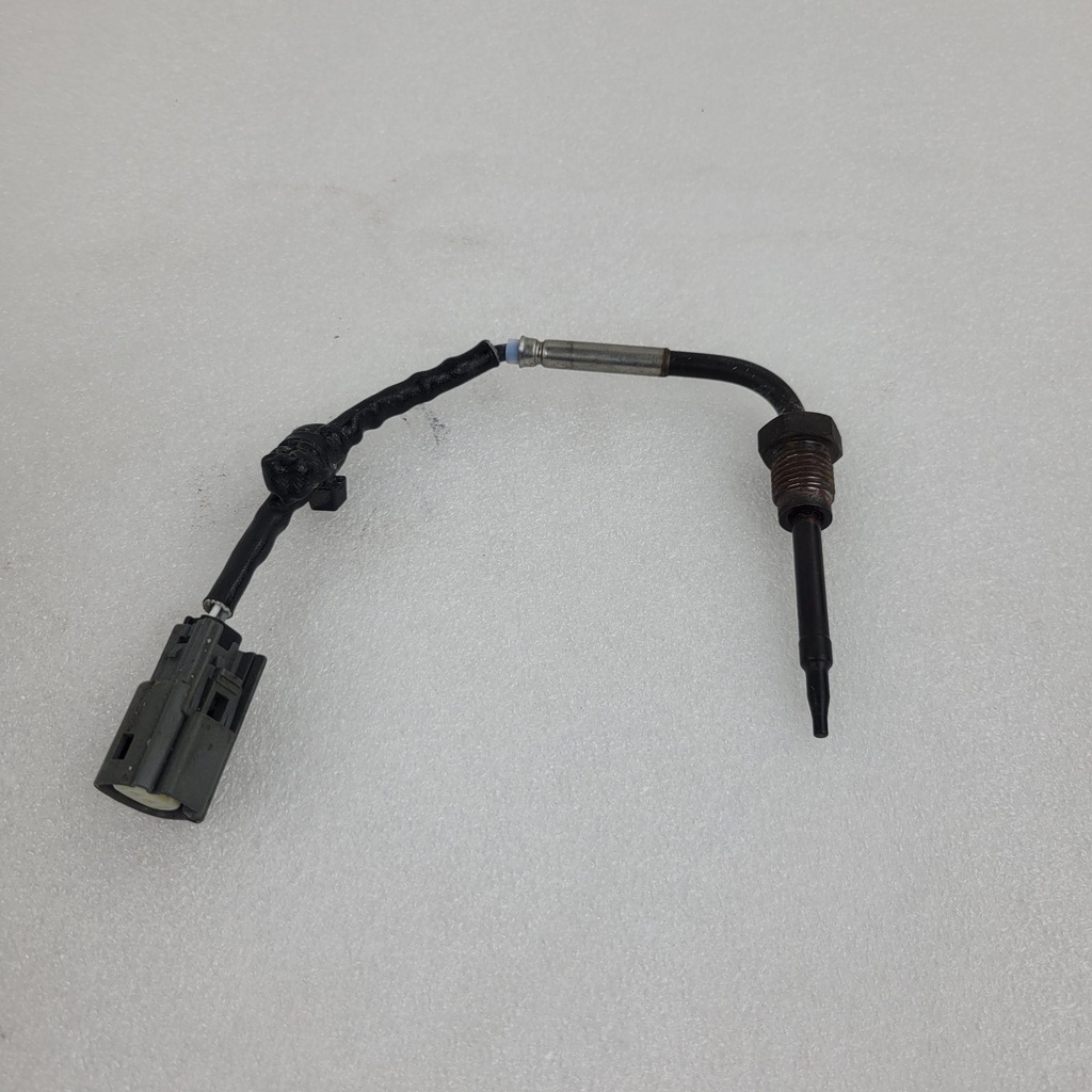 temperature sensor