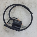Ignition Coil Assembly