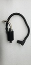 ignition coil w/ cap