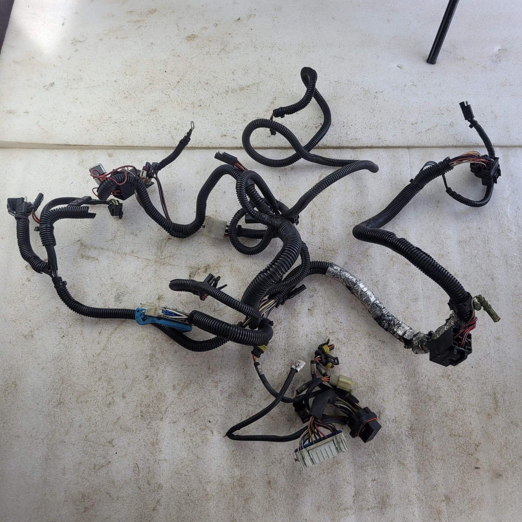 HARNESS MAIN