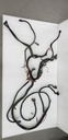 HARNESS-MAIN,SPORTSMAN 50 - POLARIS - 2461041 polaris