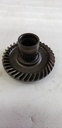 .gear, rr final driven (nt:36