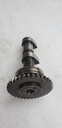 Camshaft Assy 1