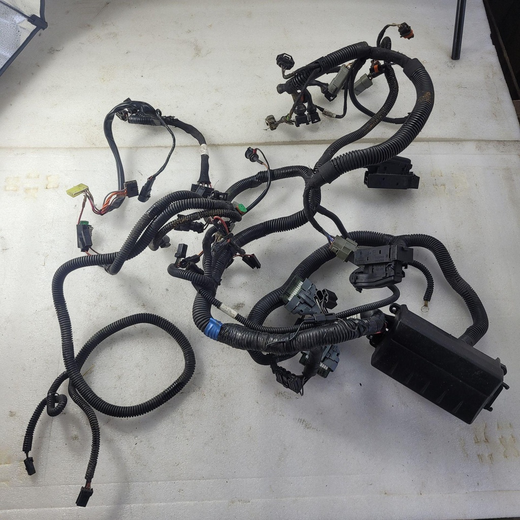 Engine Wiring Harness