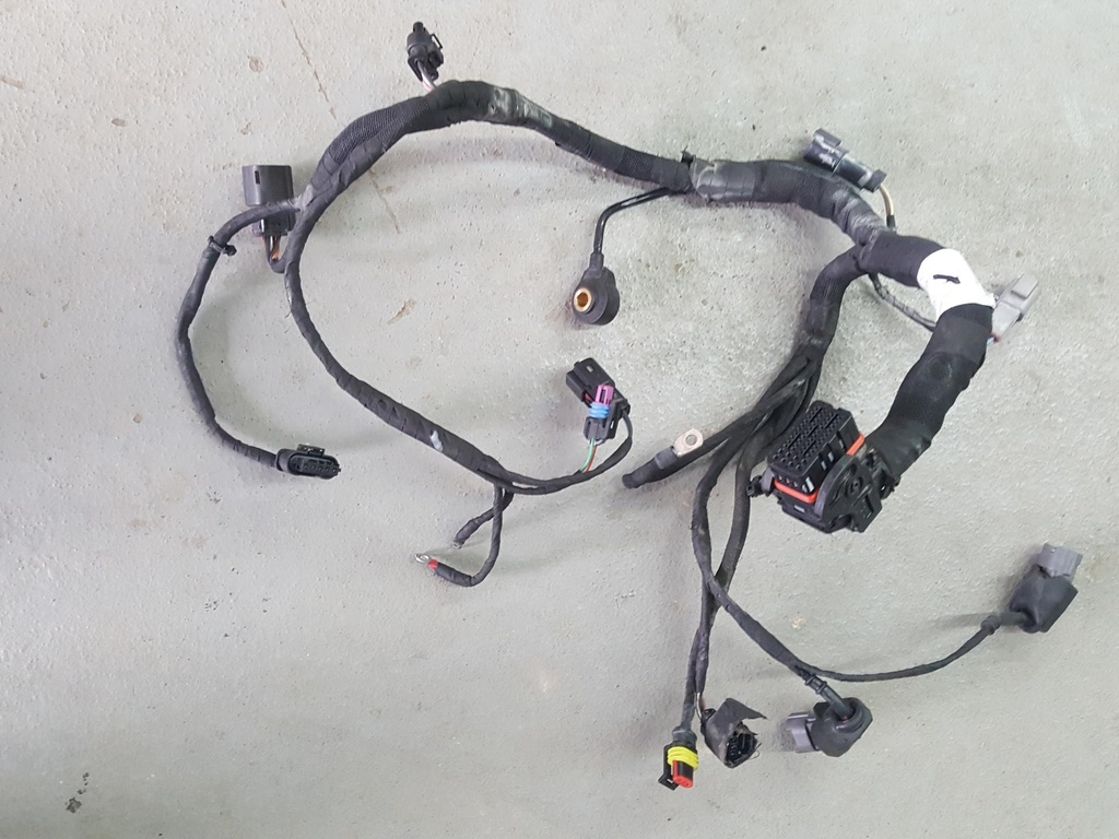 engine harness except shot