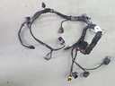 engine harness except shot