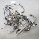 CHASSIS HARNESS, RZR
