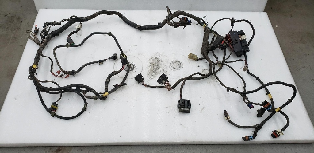 Main Harness