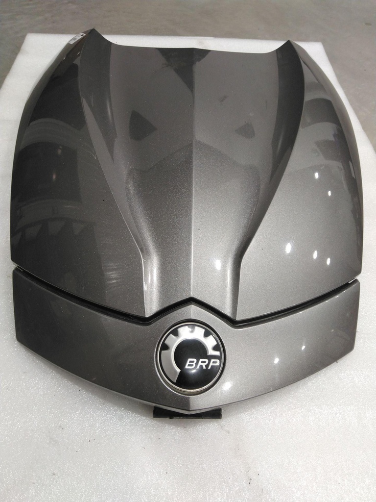 Hood, Metallic Magnesium RS