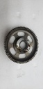 gear,water pump driven
