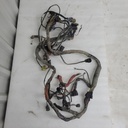 HARNESS/DIA,MAIN(010 550/700 H1 MUD PRO) (inc. 2-10)