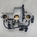 Throttle Body Assy